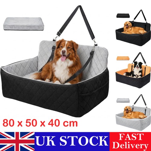 Large dog car - dog,