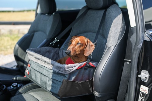 Kong secure dog - secure, car